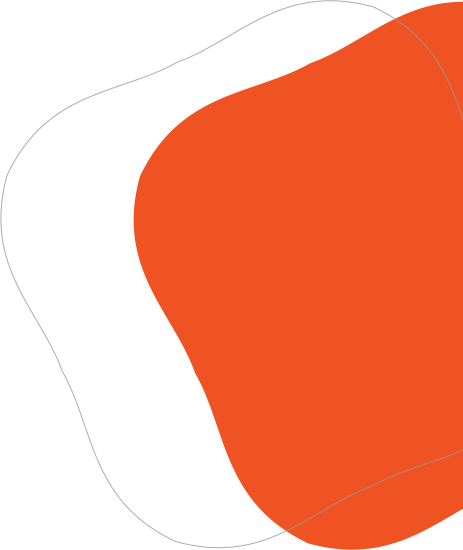 shape